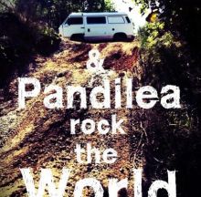 Fuchur & Pandilea rock the World