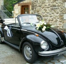 Wanted - Coccinelle ancienne ou combi vw
