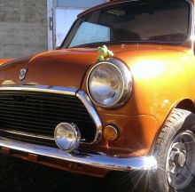 For sale - MINI SPECIAL, CHF 12900