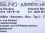 Verkaufe - Seitenscheiben Karmann Typ 14, CHF 150.-
