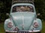 Vends - Volkswagen Bug Albert Schwan Neck mirror oval dickholmer kever Kafer Beetle Cox Coccinelle, EUR €100 / $110