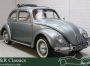 Volkswagen Kever | Uitvoerig Gerestaureerd | Schuifdak | 1959