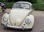 VW Beetle 466