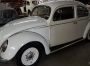Vendo - VW OVAL de 1955, EUR 1