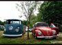 T1 Single cab and Beetle